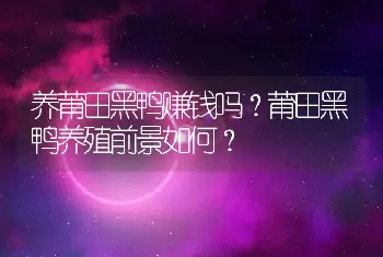 白鲢鱼常见疾病有哪些？如何防治？