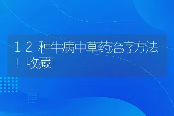 12种牛病中草药治疗方法！收藏！