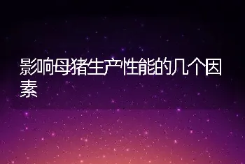 影响母猪生产性能的几个因素