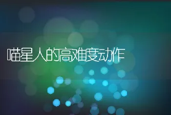 喵星人的高难度动作