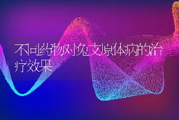 不同药物对兔支原体病的治疗效果