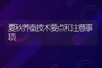 夏秋养蚕技术要点和注意事项