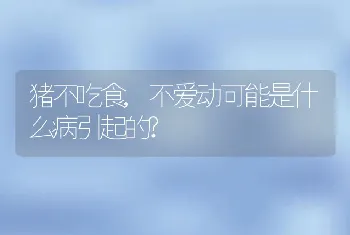 猪不吃食,不爱动可能是什么病引起的?