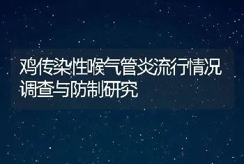 鸡传染性喉气管炎流行情况调查与防制研究