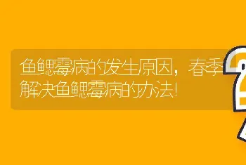 鱼鳃霉病的发生原因，春季解决鱼鳃霉病的办法！