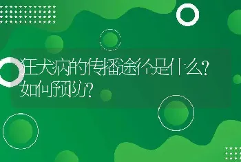 狂犬病的传播途径是什么？如何预防？