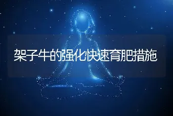 母猪不发情的原因及解决办法