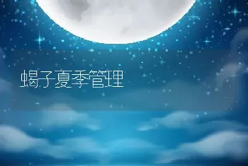 蝎子夏季管理