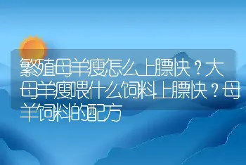 繁殖母羊瘦怎么上膘快？大母羊瘦喂什么饲料上膘快？母羊饲料的配方