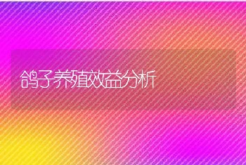 鸽子养殖效益分析