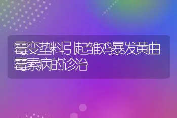 霉变垫料引起雏鸡暴发黄曲霉素病的诊治