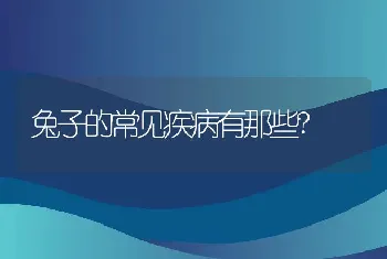 兔子的常见疾病有那些?