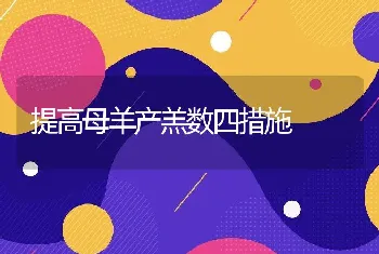 提高母羊产羔数四措施