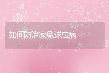 如何防治家兔球虫病