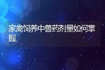 家禽饲养中兽药剂量如何掌握