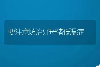 要注意防治好母猪低温症