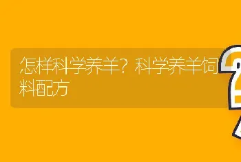 怎样科学养羊？科学养羊饲料配方