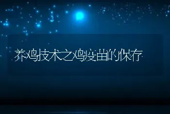 养鸡技术之鸡疫苗的保存