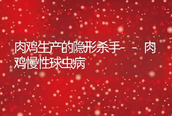 肉鸡生产的隐形杀手--肉鸡慢性球虫病