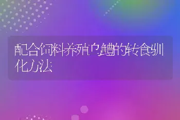 配合饲料养殖乌鳢的转食驯化方法