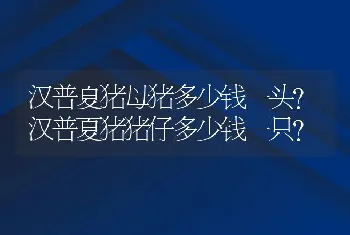 汉普夏猪母猪多少钱一头？汉普夏猪猪仔多少钱一只？