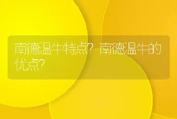 南德温牛特点？南德温牛的优点？