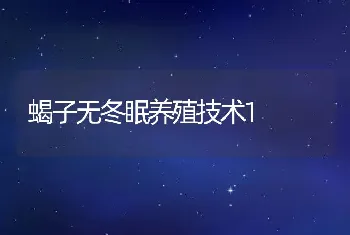 蝎子无冬眠养殖技术1