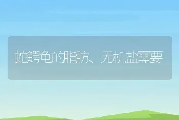 蛇鳄龟的脂肪、无机盐需要