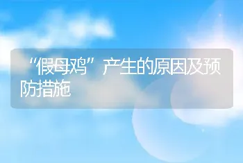 “假母鸡”产生的原因及预防措施