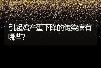 引起鸡产蛋下降的传染病有哪些?