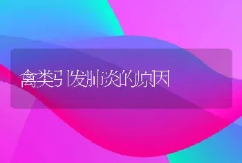 禽类引发肺炎的原因