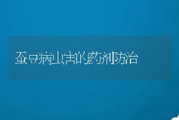 蚕豆病虫害的药剂防治