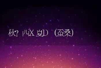 秋?西X夏D（蚕桑）