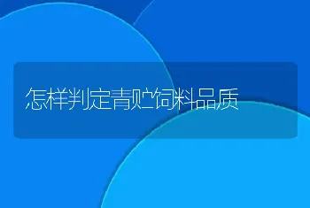 怎样判定青贮饲料品质