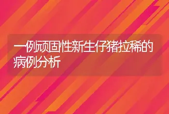 一例顽固性新生仔猪拉稀的病例分析