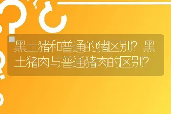 黑土猪和普通的猪区别？黑土猪肉与普通猪肉的区别？