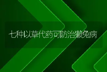 七种以草代药可防治獭兔病