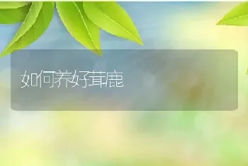 如何养好茸鹿