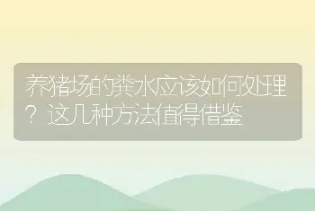 养猪场的粪水应该如何处理？这几种方法值得借鉴