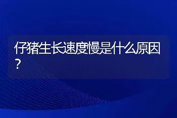 仔猪生长速度慢是什么原因？