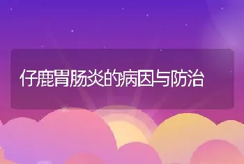 仔鹿胃肠炎的病因与防治