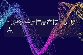 蛋鸡冬季保持高产技术5要点