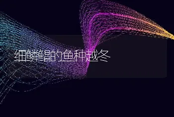 鸽传染病防治技术：鸽支原体病