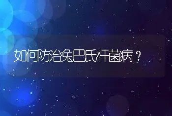 如何防治兔巴氏杆菌病？