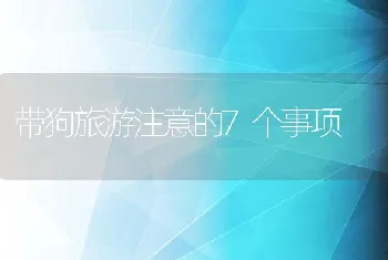 带狗旅游注意的7个事项