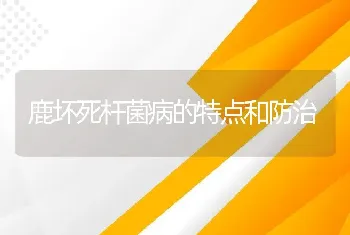 鹿坏死杆菌病的特点和防治