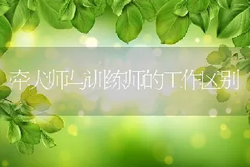 牵犬师与训练师的工作区别