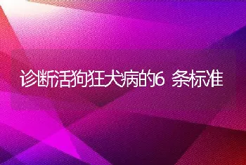 诊断活狗狂犬病的6条标准