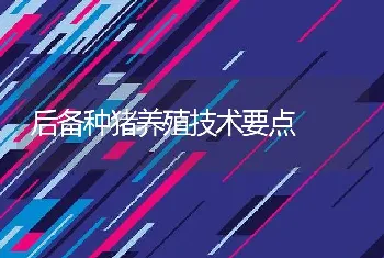 后备种猪养殖技术要点