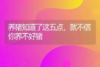 养猪知道了这五点，就不信你养不好猪